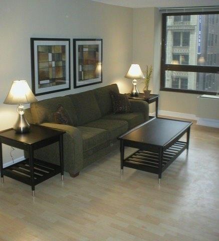 Oakwood At Millennium Park Plaza Aparthotel ชิคาโก ภายนอก รูปภาพ